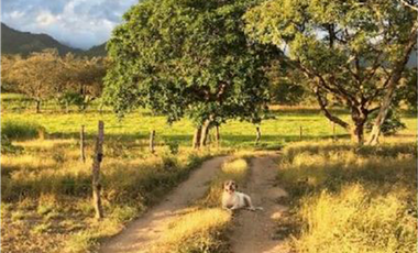 Se vende Finca en Rio Grande, Penonome