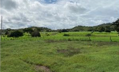 Se vende Finca en Rio Grande, Penonome