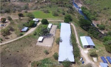 Se vende Finca en Rio Grande, Penonome
