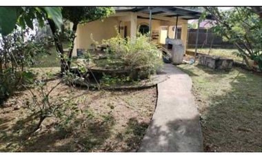 ALQUILER DE CASA EN DAVID 3R AMOBLADA