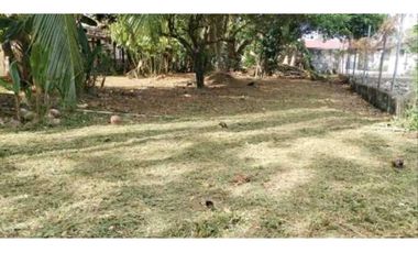 ALQUILER DE CASA EN DAVID 3R AMOBLADA