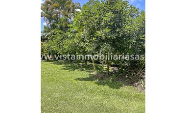 Arriendo Finca Santagueda, Palestina