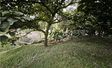 Finca en Amaga Vereda Gualí