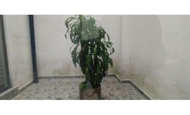 ARRIENDO CONSULTORIO EN VERSALLES MANIZALES | ARRIENDOS MANIZALES