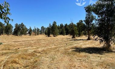 Parcela en Venta en Chillan. Camino a Coihueco km 10. Los totomiros, psje Los Rosales.