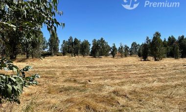 Parcela en Venta en Chillan. Camino a Coihueco km 10. Los totomiros, psje Los Rosales.