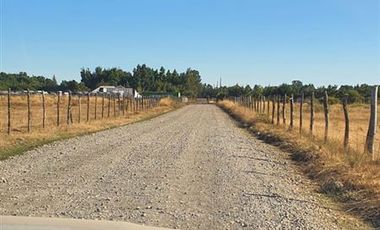 Parcela en Venta en Chillan. Camino a Coihueco km 10. Los totomiros, psje Los Rosales.