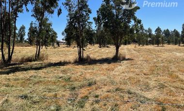 Parcela en Venta en Chillan. Camino a Coihueco km 10. Los totomiros, psje Los Rosales.