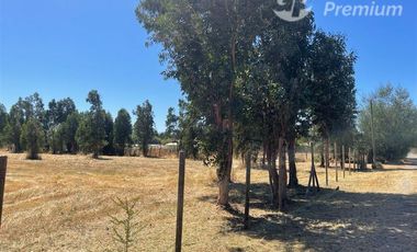 Parcela en Venta en Chillan. Camino a Coihueco km 10. Los totomiros, psje Los Rosales.