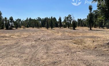 Parcela en Venta en Chillan. Camino a Coihueco km 10. Los totomiros, psje Los Rosales.