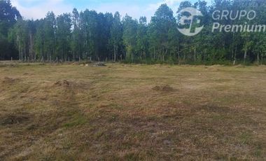 Parcela en Venta en sector purey al oriente de valdivia salida hacia los lagos