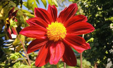 Venta de lotes Guayllabamba, 400m2, Vive a 30' de Quito