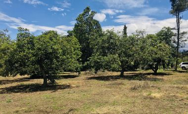 Venta de lotes Guayllabamba, 400m2, Vive a 30' de Quito