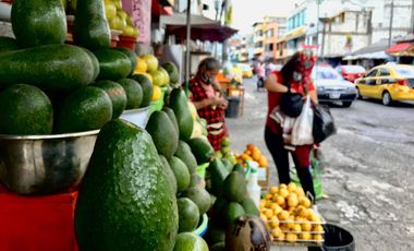 Venta de lotes Guayllabamba, 400m2, Vive a 30' de Quito