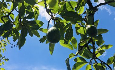 Venta de lotes Guayllabamba, 400m2, Vive a 30' de Quito