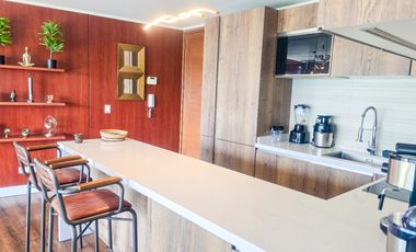 Amoblado 2 Dor. 2 Bñ. 1 Est. Moderno y disponible. Parque Arauco