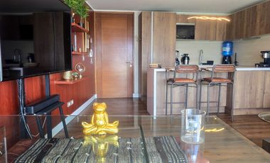 Amoblado 2 Dor. 2 Bñ. 1 Est. Moderno y disponible. Parque Arauco