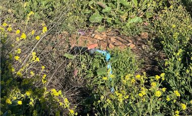 Se Vende Parcela 5080m2 con Luz y Agua de Riego, Las Cañas 2, Illapel