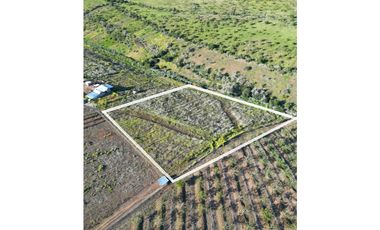 Se Vende Parcela 5080m2 con Luz y Agua de Riego, Las Cañas 2, Illapel