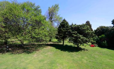 ARRIENDO GRAN CASA EN ANGOL, SECTOR EL TIJERAL