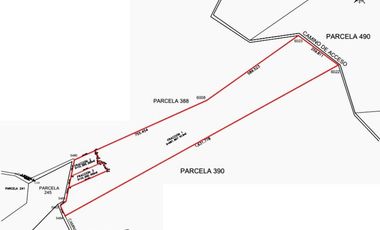 Higuera Blanca  Bahía de Banderas Nayarit