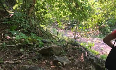 Higuera Blanca  Bahía de Banderas Nayarit