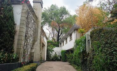 Frontera San Ángel Ciudad de México