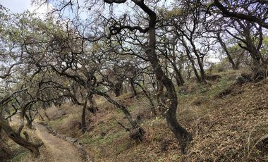 Jardines en la Montaña Tlalpan Ciudad de México