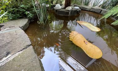 Avándaro Valle de Bravo Estado de México