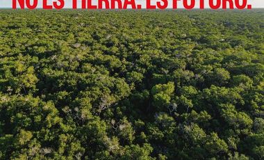 The Drop Terrenos en venta Cuzamá Mérida Yucatán