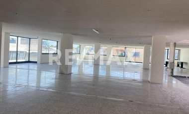 EDIFICIO COMERCIAL DE 3 NIVELES EN RENTA- TOLUCA DE LERDO - (3)