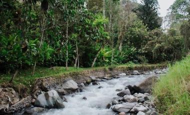 QUINTA RESIDENCIAL Y AGRICOLA en Norte de Pallatanga