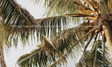 Terreno en Playa Agua Blanca, Puerto Escondido, Oaxaca