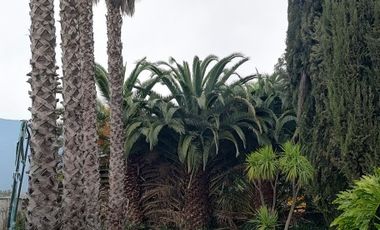 CARRETERA DE LA FRUTA