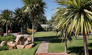 CARRETERA DE LA FRUTA