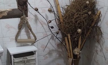 CARRETERA DE LA FRUTA