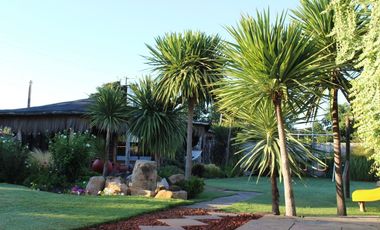 CARRETERA DE LA FRUTA