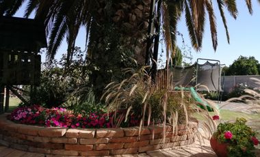 CARRETERA DE LA FRUTA