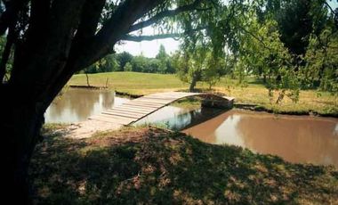 Club de Campo. Parquizado y forestado
