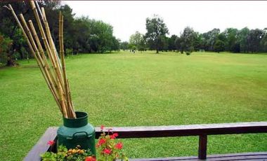 Club de Campo. Parquizado y forestado