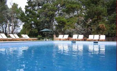 Club de Campo. Parquizado y forestado