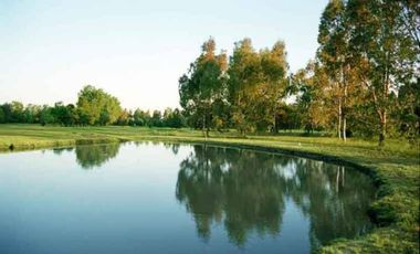 Club de Campo. Parquizado y forestado