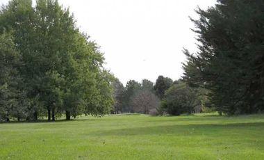 Club de Campo. Parquizado y forestado