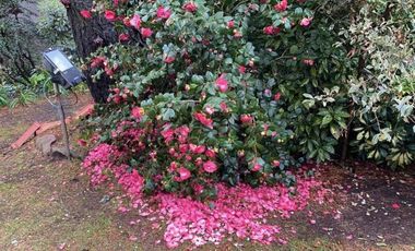 Casa en venta - 2 Dormitorios 3 Baños - 2.400Mts2 - Sierra de Los Padres