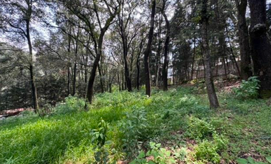 CASA CAMPESTRE EN JILOTZINGO