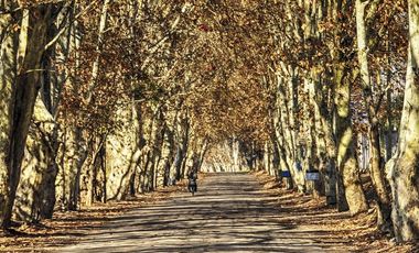 Terreno en  Solares Brandsen II -  Pedriel, Lujan de Cuyo