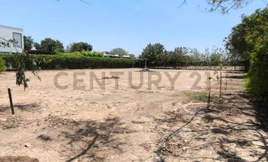 Terreno campestre enQuilmana  Cañete  ¡Tu refugio natural con servicios listos!