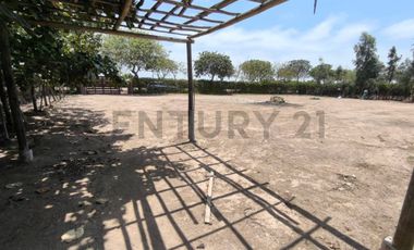 Terreno campestre enQuilmana  Cañete  ¡Tu refugio natural con servicios listos!
