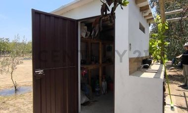 Terreno campestre enQuilmana  Cañete  ¡Tu refugio natural con servicios listos!