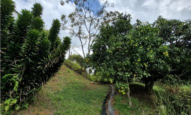 CASA CAMPESTRE DE LUJO EN VENTA, MEDIO DAPA, YUMBO